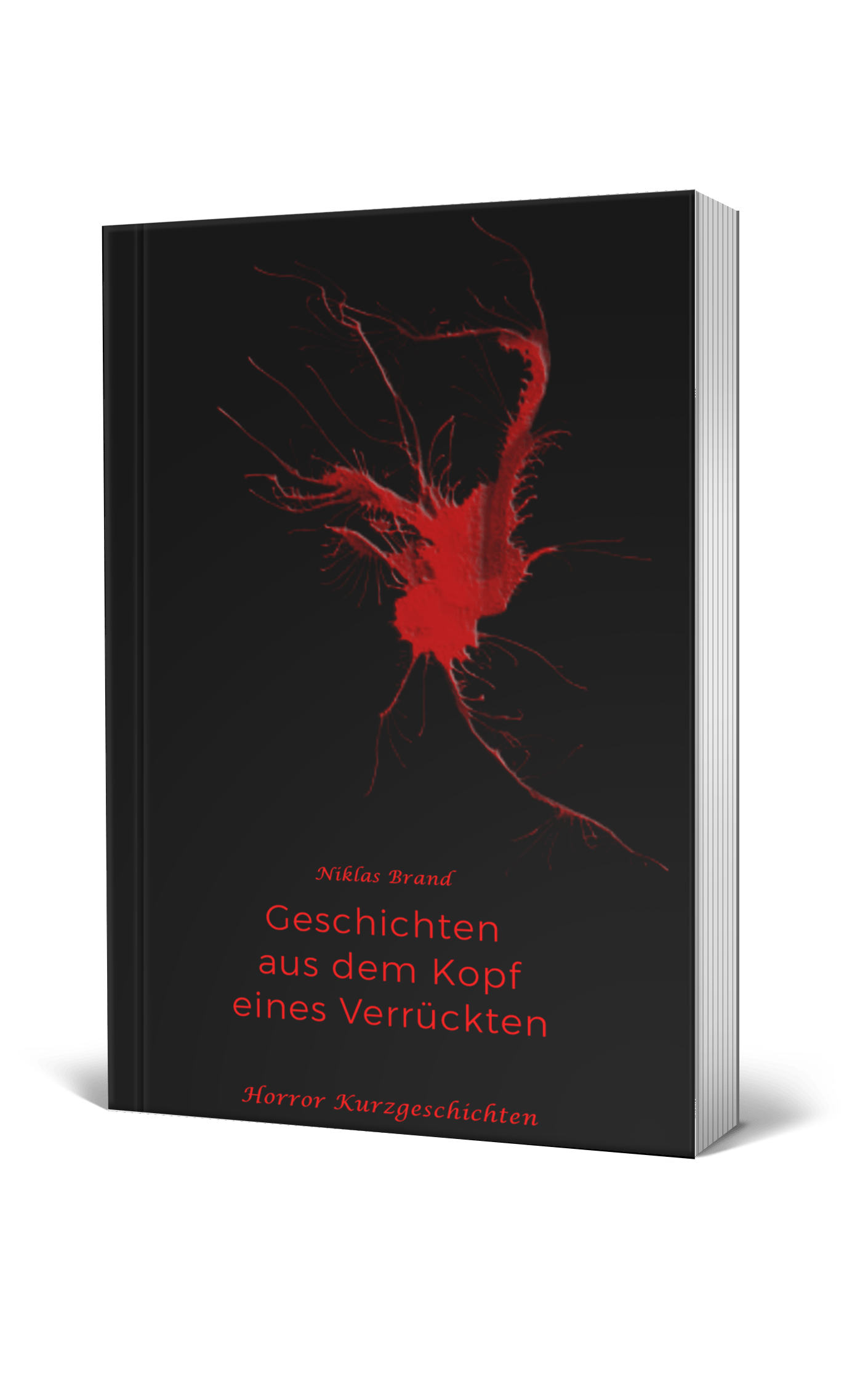 Ein schwarzes Buchcover mit einer abstrakten, roten, spritzerartigen Grafik in der Mitte.
